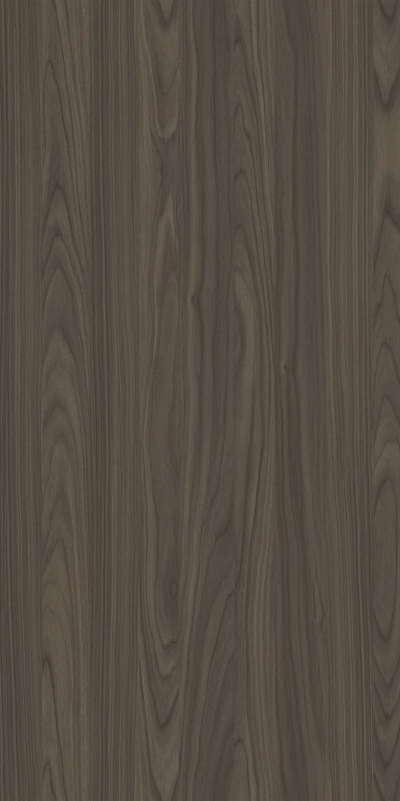 YDHTB1050 安科纳胡桃