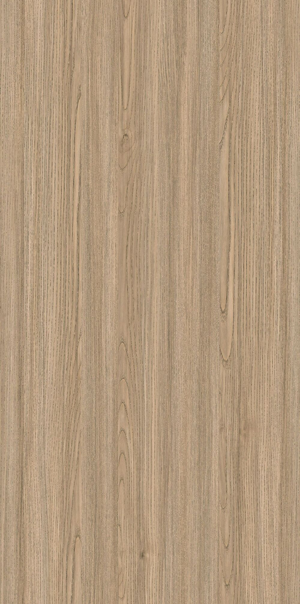 YDHTB1131 克里特橄榄木