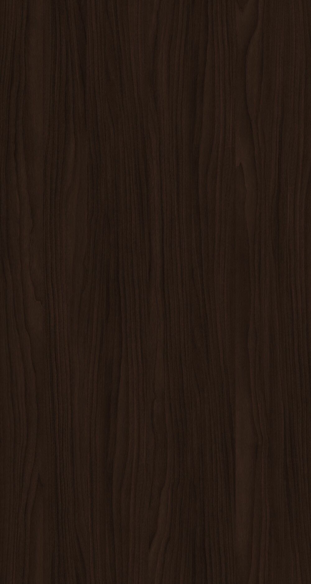 YDHTB1112 波特兰胡桃