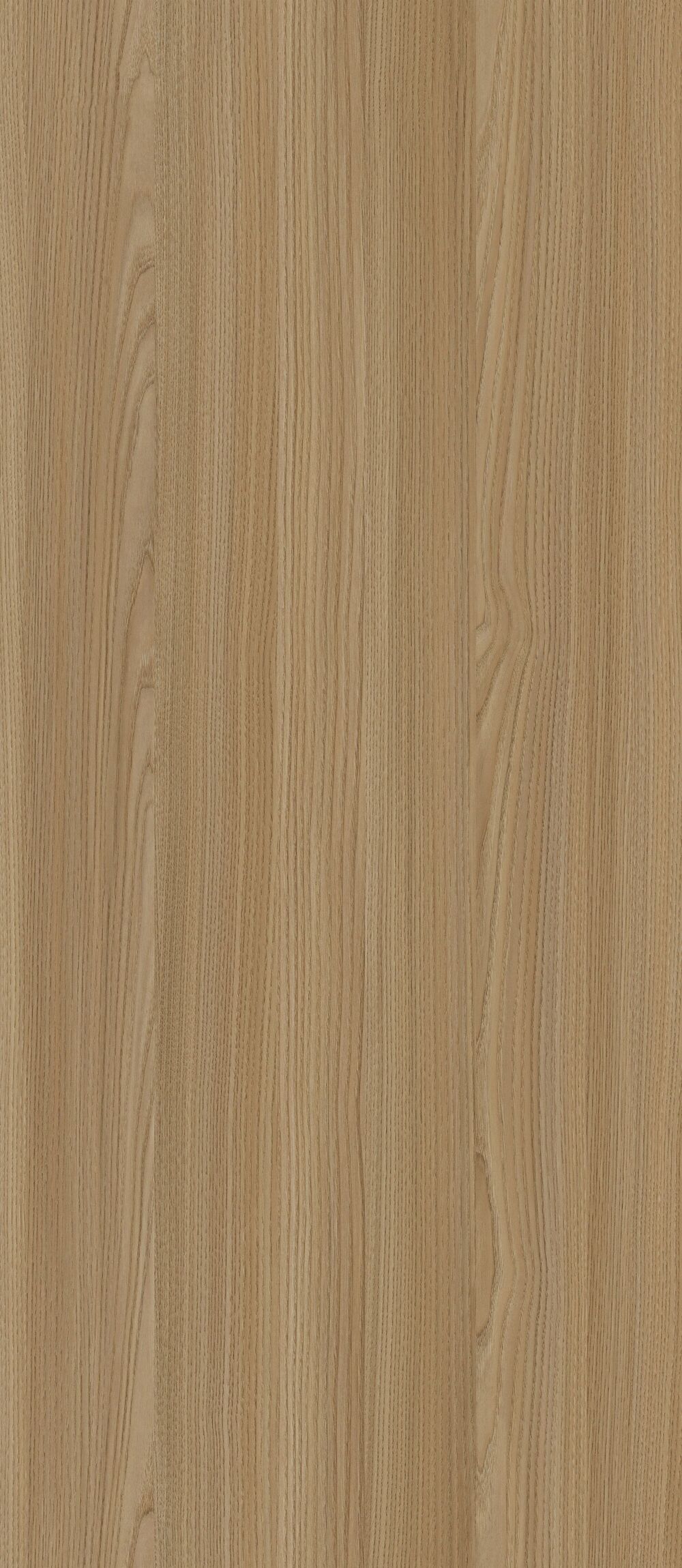 YDHTB1211 拉普兰榆木