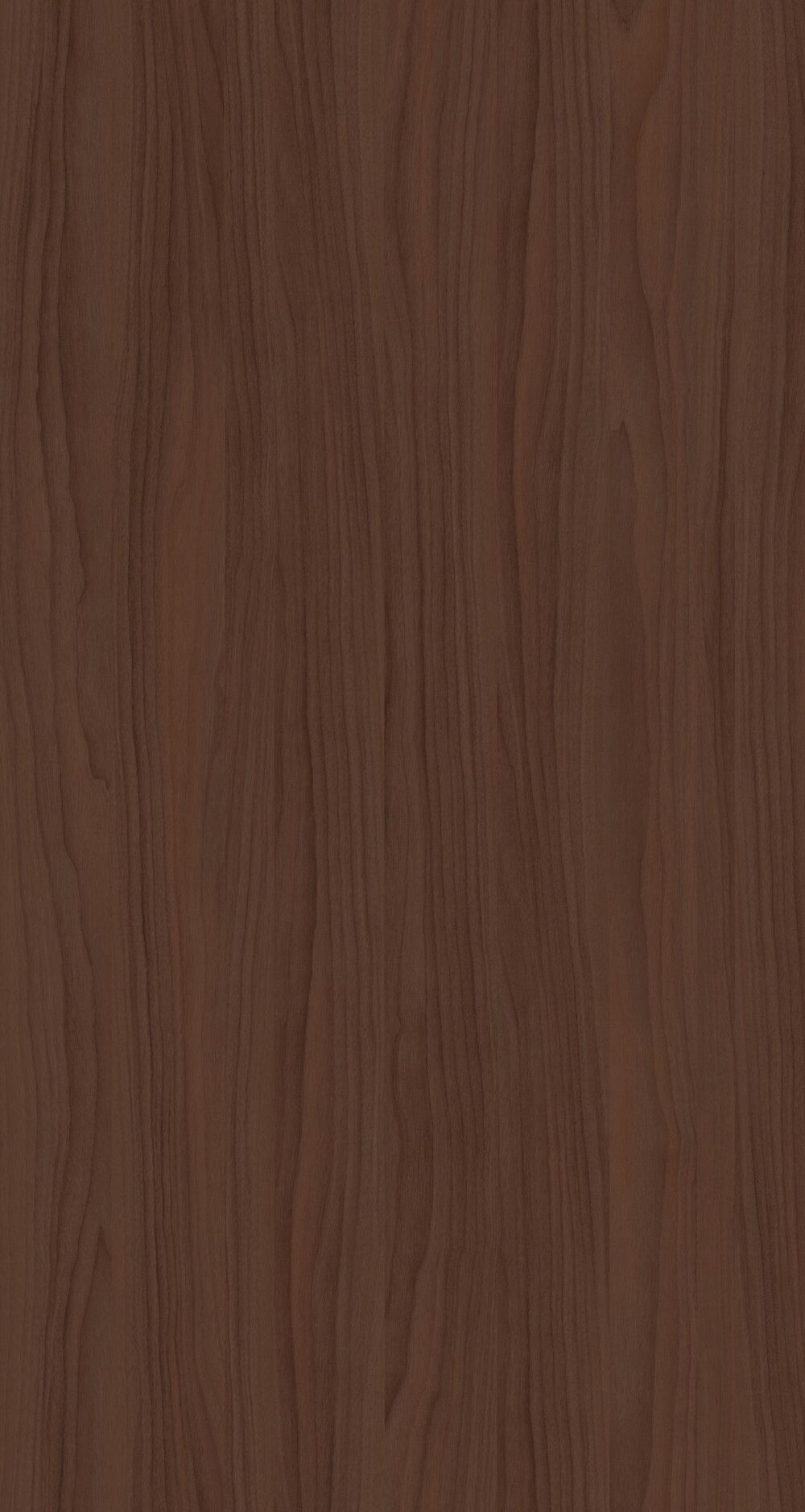 YDHTB1112 波特兰胡桃